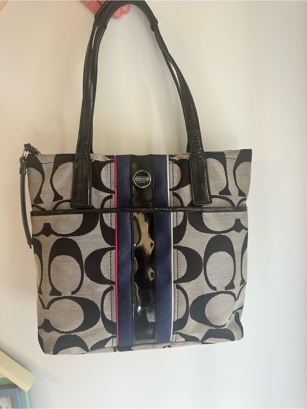 Coach Canvas Tote in Black, Gray, Navy & Pink Stripe